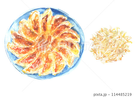水彩で描いたもやしと焼き餃子のイラスト 114485219