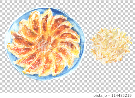 水彩で描いたもやしと焼き餃子のイラスト 114485219
