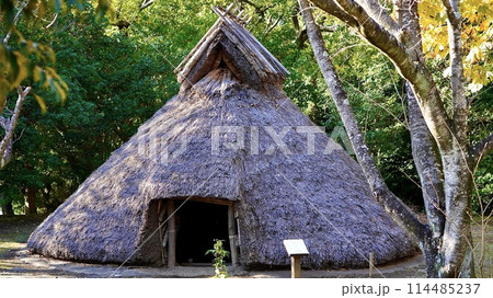 袖ヶ浦公園に復元された弥生時代の竪穴式住居 袖ヶ浦公園に復元された弥生時代の竪穴式住居 114485237