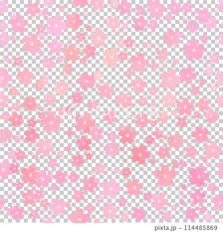 Watercolor touch cherry blossom background material 114485869