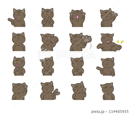 いろいろな表情をしたかわいいサバ猫のセット いろいろな表情をしたかわいいサバ猫のセット 114485935