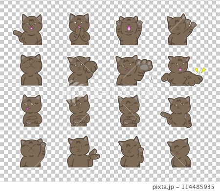 いろいろな表情をしたかわいいサバ猫のセット いろいろな表情をしたかわいいサバ猫のセット 114485935