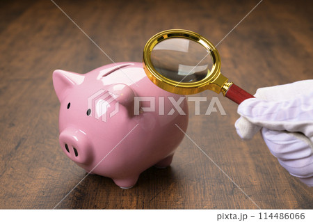 ブタの貯金箱と虫眼鏡 114486066
