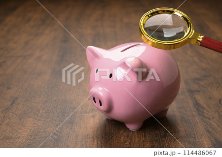 ブタの貯金箱と虫眼鏡 114486067