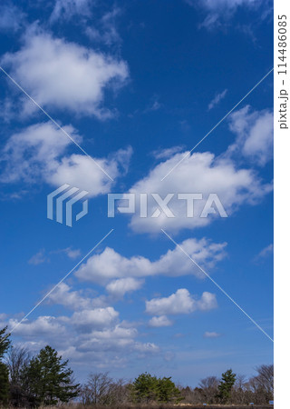 爽やかな青空と白い雲 114486085