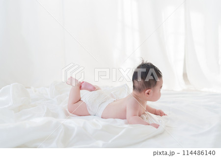 裸の赤ちゃん 裸の赤ちゃん 114486140