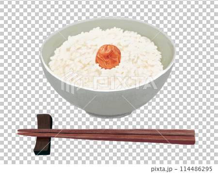 梅干飯（用筷子） 114486295