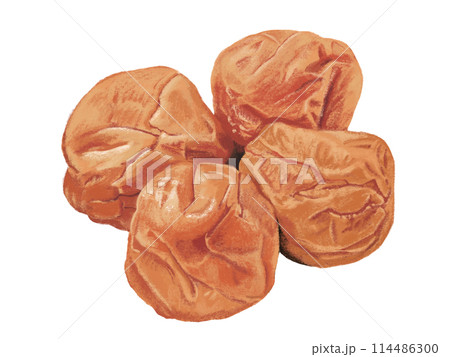 梅干し4個（皿なし） 114486300