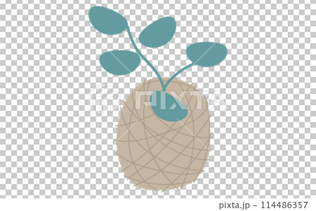 観葉植物ハンギングプランツ、アイソメトリックイラスト 観葉植物ハンギングプランツ、アイソメトリックイラスト 114486357