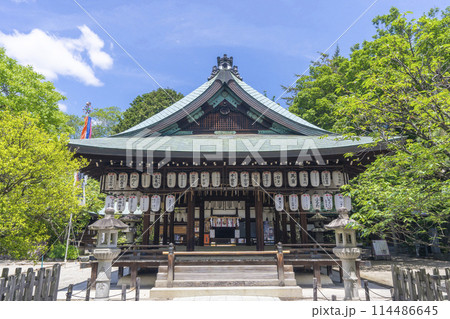 京都　白峯神宮　拝殿 114486645