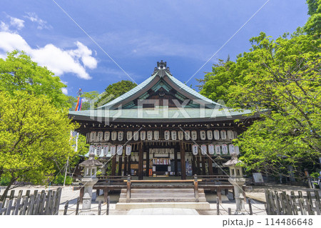 京都 白峯神宮 拝殿 京都 白峯神宮 拝殿 114486648