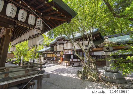 京都　白峯神宮　本殿 114486654
