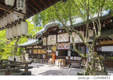 京都 白峯神宮 本殿 京都 白峯神宮 本殿 114486655