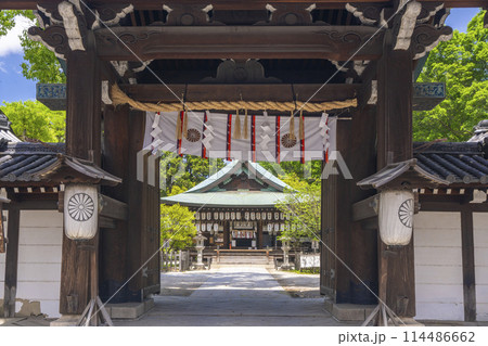新緑の京都 白峯神宮 神門 新緑の京都 白峯神宮 神門 114486662