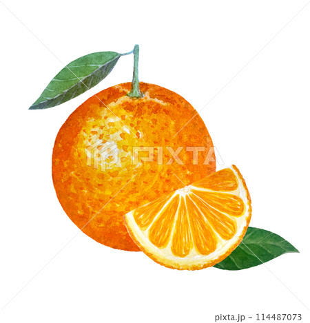 Orange whole fruit with a green leaf and a slice watercolor composition isolated on white. High quality hand drawn art for food design, packages, menu, natural organic food, label, logo and decor 114487073