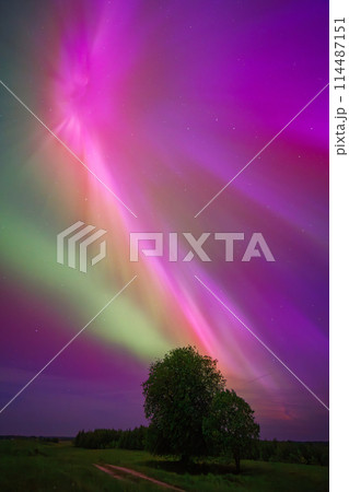 Aurora borealis is a natural light show in the sky resembling a rainbow Aurora borealis is a natural light show in the sky resembling a rainbow 114487151