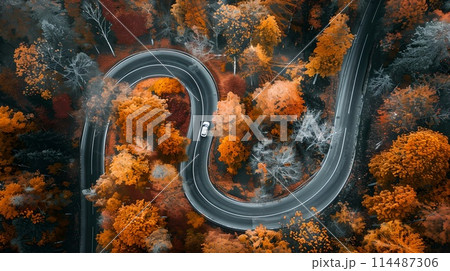 Scenic Autumn Road Winding Through Vibrant Forest, Aerial View. Perfect for Travel and Nature Themes. Ideal for Wall Art and Calendars. AI 114487306