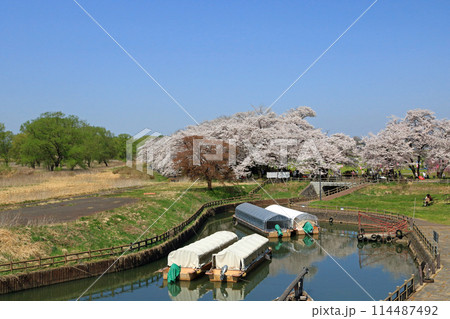 展勝地レストハウスからの眺め 展勝地レストハウスからの眺め 114487492