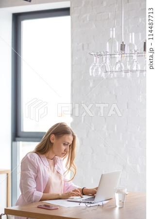 young good-looking woman surfing the Net at home young good-looking woman surfing the Net at home 114487713