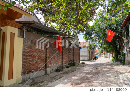 ベトナムハノイ　国家文化財に指定されたドンラム村の路地 114488009