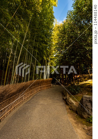 竹林の道、城南宮、2月12日、京都、日本 竹林の道、城南宮、2月12日、京都、日本 114488140
