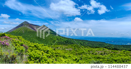 満開のミヤマキリシマと新緑 霧島ジオパーク 満開のミヤマキリシマと新緑 霧島ジオパーク 114488437