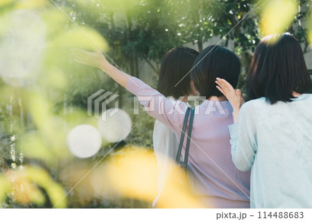 a forty-something woman a forty-something woman 114488683