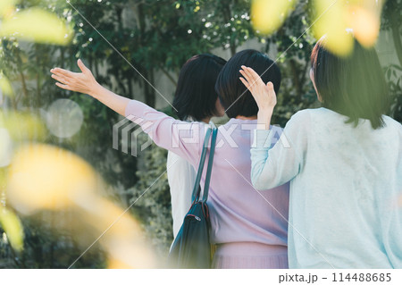 a forty-something woman a forty-something woman 114488685