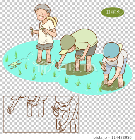 孩子們正在插秧 114488950