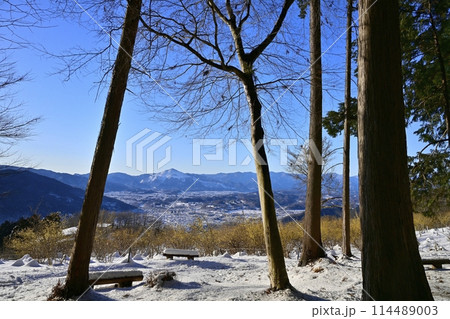 長瀞町宝登山山頂の雪積もり花咲くロウバイ園に武甲山 長瀞町宝登山山頂の雪積もり花咲くロウバイ園に武甲山 114489003