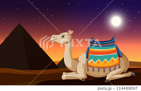 Camel at Sunset Near Egyptian Pyramid Camel at Sunset Near Egyptian Pyramid 114489097