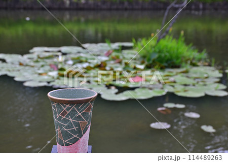 睡蓮の池を背景に 睡蓮の池を背景に 114489263