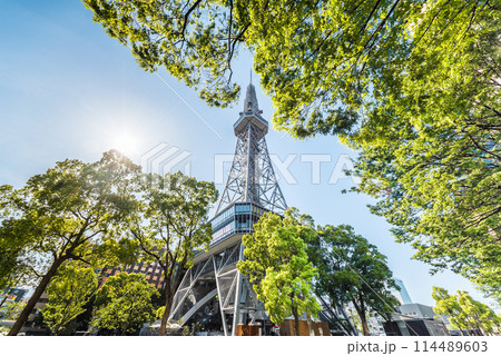 新緑に囲まれた中部電力ミライタワーを見上げる 114489603