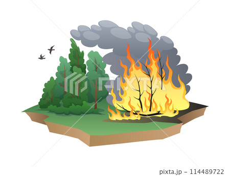Wild forest on fire 2D cartoon objects on white background Wild forest on fire 2D cartoon objects on white background 114489722