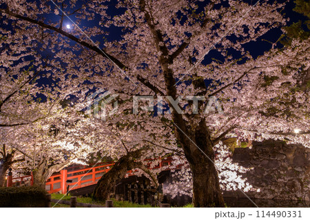 弘前城夜の絶景　満開の桜に囲まれる鷹丘橋と満月　青森県 114490331