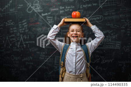 Kid in class on background of blackboard Kid in class on background of blackboard 114490335