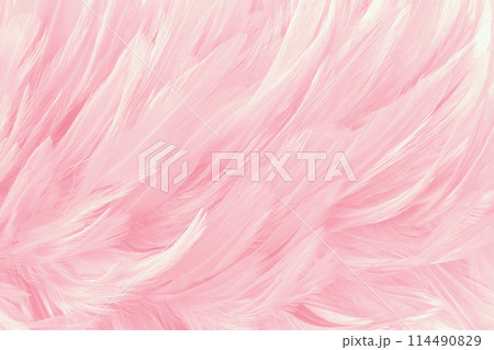 Beautiful soft pink bird feathers pattern texture background. Beautiful soft pink bird feathers pattern texture background. 114490829