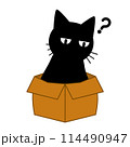 猫が小さい箱に入っているイラスト 114490947