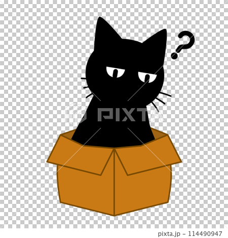一隻貓在小盒子裡的插圖 一隻貓在小盒子裡的插圖 114490947