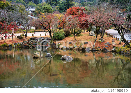 晩秋の円山公園 114490950