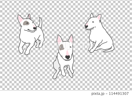 鬥牛犬簡單插圖集 114491307