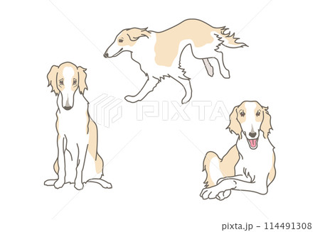 ボルゾイのシンプルなイラスト素材セット（リアルタッチ） 114491308