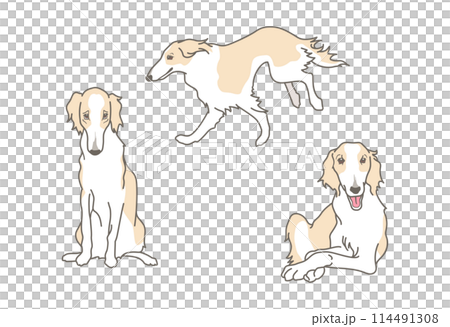 ボルゾイのシンプルなイラスト素材セット（リアルタッチ） 114491308