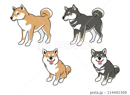柴犬（赤毛・黒）のシンプルなイラスト素材セット（リアルタッチ） 114491309