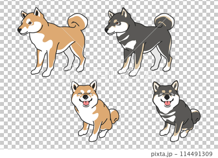 柴犬（赤毛・黒）のシンプルなイラスト素材セット（リアルタッチ） 114491309