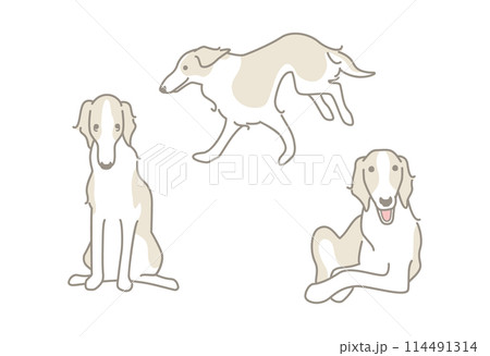 ボルゾイのシンプルなイラスト素材セット 114491314