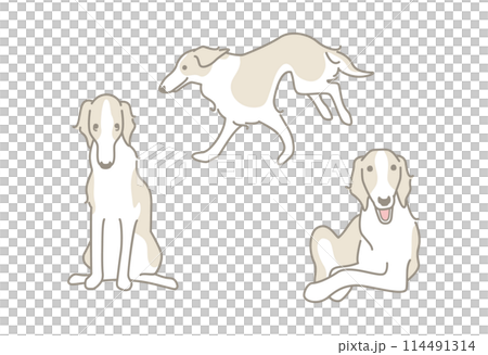 ボルゾイのシンプルなイラスト素材セット 114491314