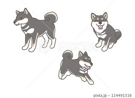 柴犬（黒柴）のかわいいイラスト素材セット 114491316