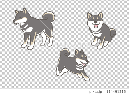 柴犬（黒柴）のかわいいイラスト素材セット 114491316