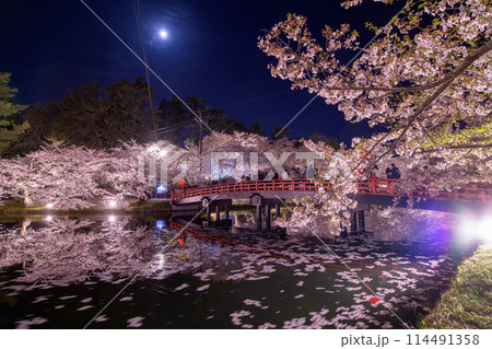 弘前城満月の夜　ライトアップされた花筏の西濠と満開の桜に囲まれる春陽橋　青森県 114491358